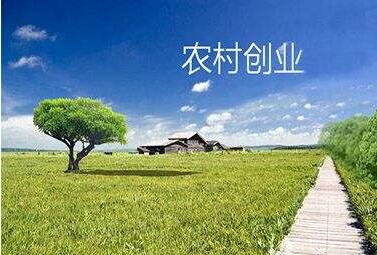 我國(guó)農(nóng)村創(chuàng)業(yè)創(chuàng)新人員已達(dá)700萬(wàn)人